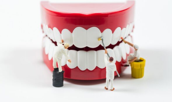 miniature worker people are cleaning teeth model